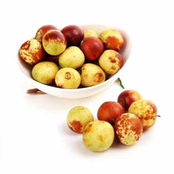 遼寧遼陽(yáng)冬棗樹(shù)苗幾年結(jié)果